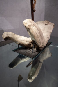 Dio Fluviale Accademia