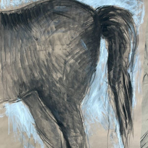 Rita Pedullà_Cavallo