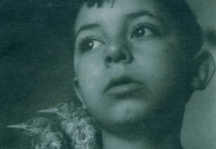 Mario Strippini, a Bolsena da Franco Travisi, 1962. Stampa da negativo b_n, 42x30 cm