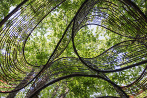 Kengo Kuma_Dynamo Pavillion_2025_OCA Oasy Contemporary Art_©MattiaMarasco