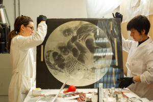 MadonnaDellaSeggiola_LastraNegativa