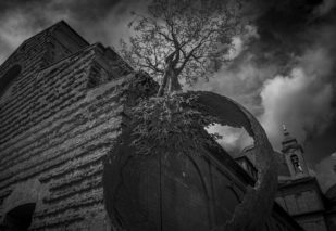 Humanitas_Andrea Roggi_mostra Firenze 2025